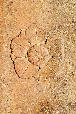 포토 JPG 주간 한국문화 한국전통 전통 문양 꽃 전통문화 조각 백그라운드 무늬 꽃무늬 한국 석조 근접촬영 사람없음 야외 조형물 조각상 전통무늬 전통문양 돌_바위 돌조각 부조 조각_조소 국내포토 자연요소 식물 동양문화 아시아 문화 뷰포인트 미술 조소 파일형식