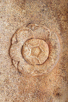 포토 JPG 주간 한국문화 한국전통 전통 문양 꽃 전통문화 조각 백그라운드 무늬 꽃무늬 한국 석조 근접촬영 사람없음 야외 조형물 조각상 전통무늬 전통문양 돌_바위 돌조각 부조 조각_조소 국내포토 자연요소 식물 동양문화 아시아 문화 뷰포인트 미술 조소 파일형식