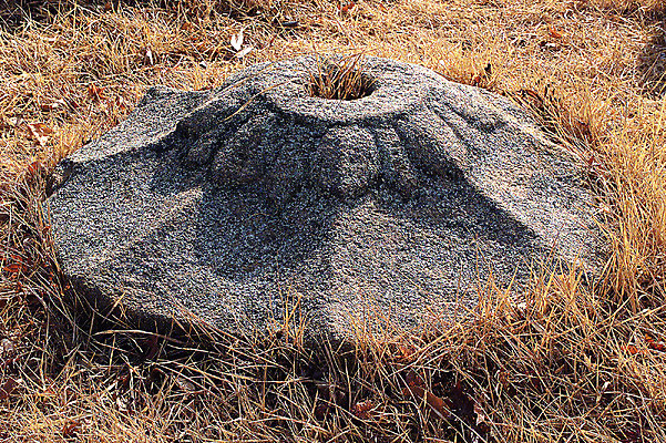 포토 JPG 주간 한국문화 한국전통 전통 문양 전통문화 백그라운드 무늬 유적 유적지 한국 잔디 초원 사람없음 야외 조형물 조각상 전통무늬 전통문양 문화재 돌_바위 돌조각 국내포토 자연요소 식물 동양문화 아시아 문화 고건축 미술 파일형식