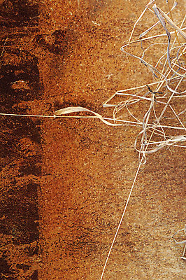 포토 JPG 식물 벽 컬러 백그라운드 벽면 근접촬영 사람없음 담장 갈색 풀 건초 볏짚 국내포토 뷰포인트 짚 파일형식