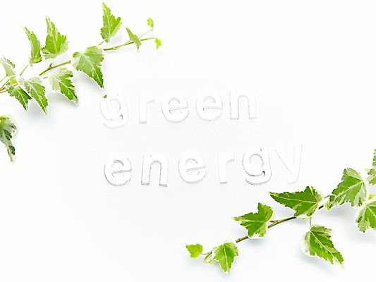 포토 JPG 스튜디오촬영 식물 문자 알파벳 잎 나뭇잎 실내 사람없음 초록색 자연보호 환경 에너지 절약 그린에너지 보호 환경보전 에너지절약 국내포토 영어 컬러 컨셉 자연 내부 사회이슈 파일형식