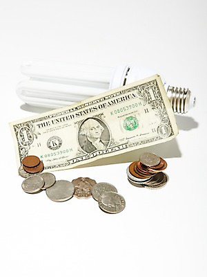 포토 JPG 스튜디오촬영 지폐 돈 전구 실내 사람없음 자연보호 환경 달러 동전 에너지 절약 그린에너지 보호 환경보전 에너지절약 센트 국내포토 컨셉 자연 내부 재산 사회이슈 파일형식