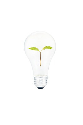 포토 JPG 스튜디오촬영 식물 잎 전구 나뭇잎 실내 사람없음 새싹 자연보호 환경 에너지 절약 그린에너지 보호 환경보전 에너지절약 국내포토 컨셉 자연 내부 사회이슈 파일형식