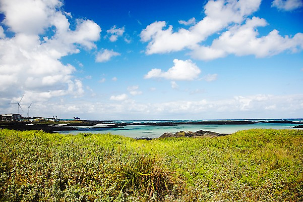포토 JPG 구름 바다 섬 하늘 바람 주택 풍경 초원 사람없음 야외 자연보호 환경 에너지 절약 풀 그린에너지 풍력에너지 보호 환경보전 에너지절약 국내포토 자연요소 식물 컨셉 자연 날씨 건물 사회이슈 파일형식