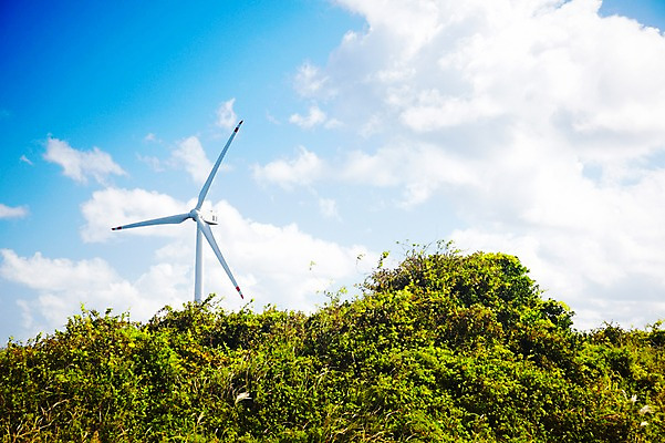 포토 JPG 식물 구름 하늘 바람 사람없음 야외 자연보호 환경 에너지 절약 풀 그린에너지 풍력에너지 보호 언덕 환경보전 에너지절약 국내포토 자연요소 컨셉 자연 날씨 사회이슈 파일형식