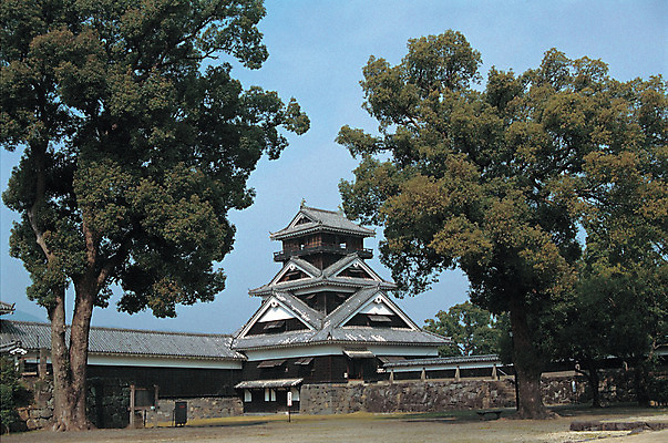포토 JPG 주간 나무 식물 해외풍경 해외 건축물 건축 해외건축 풍경 사람없음 야외 건물 일본 동양건축 성 일본건축 구마모토성 산성 일본성 국내포토 자연요소 아시아 구마모토 파일형식 동양