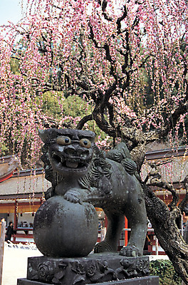 포토 JPG 주간 나무 식물 해외풍경 해외 건축물 계절 아시아 종교 상징 조각 해외건축 종교건축 종교시설 풍경 야외 건물 조형물 조각상 일본 동양건축 봄 벚꽃 사찰 사원 벚나무 신도 심볼 석상 동물모양 사당 조각_조소 신사_일본건축 국내포토 자연요소 모양 동물 건축 꽃 나라 비즈니스 미술 시설 일본건축 조소 파일형식 동양
