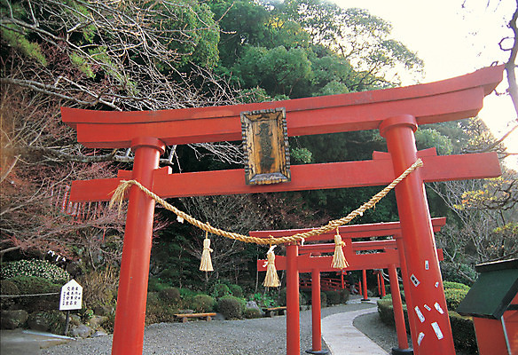 포토 JPG 주간 나무 식물 해외풍경 해외 건축물 건축 아시아 종교 길 종교건축 종교시설 출입구 풍경 사람없음 야외 문 일본 기둥 사찰 사원 토리이 사당 신사_일본건축 국내포토 자연요소 나라 비즈니스 시설 신사_건축물 일본건축 파일형식