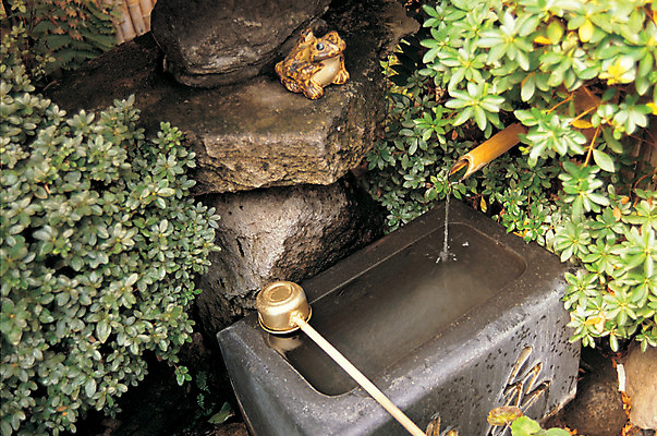 포토 JPG 주간 나무 식물 해외풍경 해외 공원 아시아 자연 풍경 사람없음 야외 물 일본 흐름 돌_바위 바위 샘물 바가지 약수터 국내포토 자연요소 공공시설 나라 컨셉 생태계 파일형식