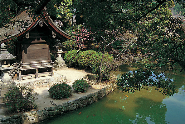 포토 JPG 주간 나무 식물 해외풍경 해외 건축물 공원 건축 아시아 호수 해외건축 자연 물그림자 풍경 사람없음 야외 건물 반사 정원 일본 동양건축 연못 정자 일본건축 국내포토 자연요소 공공시설 나라 그림자 생태계 파일형식 동양