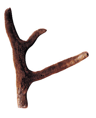 포토 JPG 재료 의학 사슴 뿔 누끼 사람없음 한의학 약재 한약재 한약 원료 한의원 한약방 사슴뿔 녹용 국내포토 포유류 병원 약 파일형식