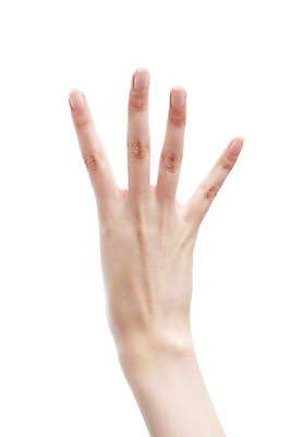 포토 JPG 스튜디오촬영 손 손가락 모션 실내 누끼 손짓 신체부위 숫자 4 사 국내포토 문자 사람 내부 파일형식