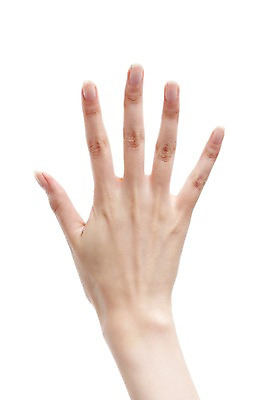 포토 JPG 스튜디오촬영 손 손가락 모션 실내 누끼 손짓 신체부위 숫자 오 5 국내포토 문자 사람 내부 파일형식