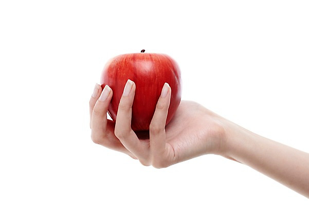 포토 JPG 스튜디오촬영 손 열매 과일 모션 한손 실내 누끼 손짓 신체부위 빨간색 한개 잡기 사과 국내포토 식물 1 컬러 사람 내부 파일형식