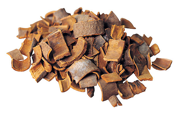 포토 JPG 조각 다수 재료 건조 누끼 사람없음 여러개 한의학 껍질 약재 한약재 약초 한약 원료 나무껍질 한의원 한약방 시나몬 국내포토 나무 의학 병원 약 풀_식물 파일형식