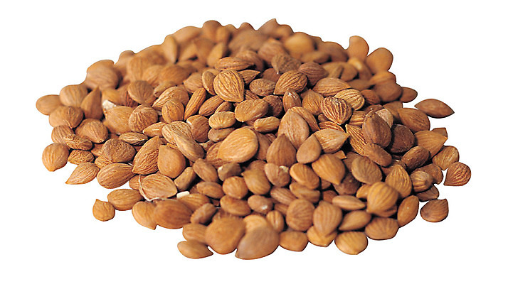 포토 JPG 다수 재료 건조 씨앗 누끼 사람없음 여러개 한의학 약재 한약재 보행자 약초 한약 낟알 원료 한의원 한약방 국내포토 식물 의학 병원 약 풀_식물 파일형식