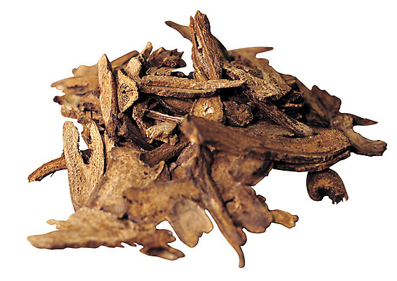 포토 JPG 다수 재료 건조 누끼 사람없음 여러개 한의학 약재 한약재 약초 한약 원료 한의원 한약방 목향 국내포토 식물 의학 병원 약 풀 파일형식