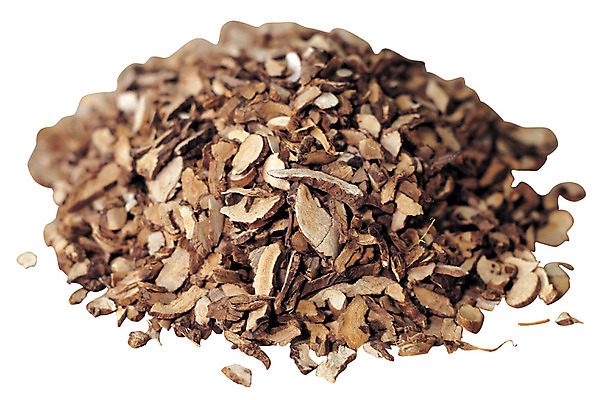 포토 JPG 조각 다수 재료 건조 누끼 사람없음 여러개 한의학 약재 한약재 약초 한약 원료 한의원 한약방 석창포 국내포토 의학 병원 약 풀_식물 파일형식