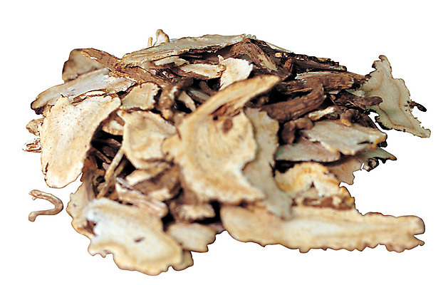 포토 JPG 다수 재료 건조 누끼 사람없음 아웃포커스 여러개 한의학 약재 한약재 약초 한약 원료 슬라이스 한의원 한약방 당귀 국내포토 의학 촬영기법 병원 약 풀_식물 파일형식