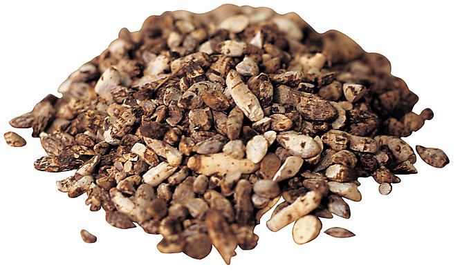 포토 JPG 다수 재료 건조 누끼 사람없음 여러개 한의학 약재 한약재 약초 한약 낟알 원료 향부자 국내포토 의학 약 풀_식물 파일형식