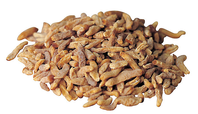 포토 JPG 다수 재료 의학 누끼 사람없음 여러개 한의학 약재 한약재 약초 한약 원료 한의원 한약방 맥문동 국내포토 식물 병원 약 풀_식물 파일형식