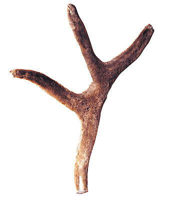 포토 JPG 재료 의학 사슴 뿔 누끼 사람없음 한의학 약재 한약재 한약 원료 한의원 한약방 사슴뿔 녹용 국내포토 포유류 병원 약 파일형식