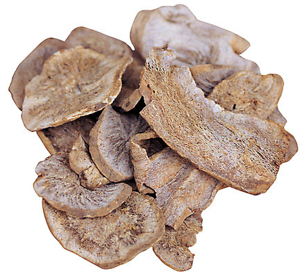 포토 JPG 재료 건조 누끼 사람없음 한의학 약재 한약재 약초 한약 원료 한의원 한약방 치커리 국내포토 채소 의학 병원 약 풀_식물 파일형식