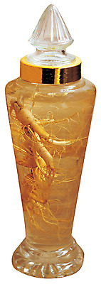 포토 JPG 의학 술병 유리병 누끼 사람없음 한의학 약재 한약재 인삼 병 한약 뿌리 한의원 한약방 약술 인삼주 국내포토 식기 병_용기 주류 병원 약 삼 파일형식