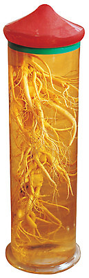 포토 JPG 의학 술병 유리병 누끼 사람없음 한의학 약재 한약재 인삼 병 한약 뿌리 한의원 한약방 약술 인삼주 국내포토 식기 병_용기 주류 병원 약 삼 파일형식