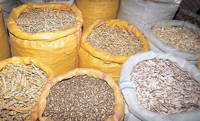 포토 JPG 재료 사람없음 판매 다양 한의학 약재 한약재 시장 한약 원료 자루 장사 재래시장 한의원 한약방 약재시장 국내포토 다수 의학 병원 약 상업 파일형식