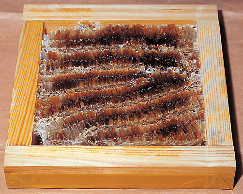 포토 JPG 재료 의학 사람없음 하이앵글 한의학 약재 한약재 한약 나무상자 원료 한의원 꿀 한약방 벌집 벌꿀 토종꿀 국내포토 뷰포인트 병원 상자 약 파일형식