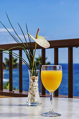 포토 JPG 해외이미지 구름 무료이미지 계절 꽃 음료 바다 줄기 백그라운드 잎 오렌지 유리 탁자 하늘 그림자 풍경 사람없음 여름 울타리 노란색 꽃병 맑음 주스 액체 오브젝트 블러 정물화 칼라꽃 수평선 해외202105 해외포토 자연요소 식물 컬러 가구 과일 재질 날씨 담장 그림 파일형식 무료콘텐츠