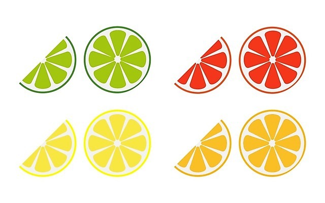 EPS 해외이미지 무료이미지 조각 오렌지 일러스트 사람없음 레몬 자몽 오브젝트 슬라이스 라임 엘리먼트 해외202105 해외일러스트 과일 파일형식 벡터
