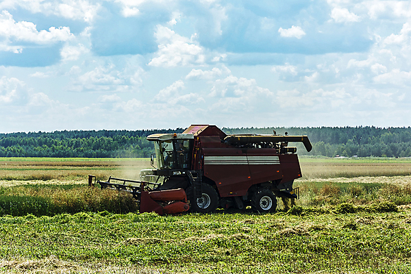 포토 JPG 해외이미지 구름 밭 농업 하늘 날씨 풍경 사람없음 농작물 농장 기계 수확 시골 먹이 낟알 시리얼 귀 밀짚 내추럴 수평선 해외202105 해외포토 자연요소 산업 음식 신체부위 짚 파일형식