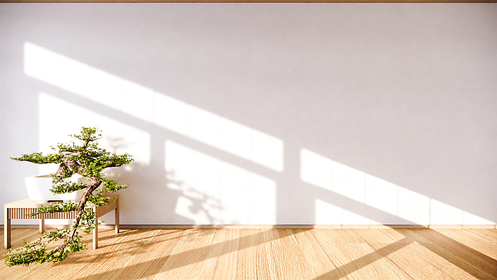 포토 JPG 해외이미지 가구 의자 창문 아이디어 실내 사람없음 인테리어 3D 가을 오픈 분재 호스텔 해외202105 해외포토 나무 디자인 계절 생활용품 컨셉 숙소 내부 디지털합성 파일형식