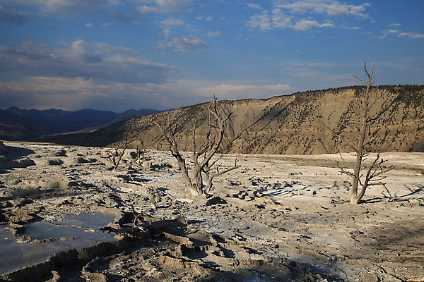 포토 JPG 해외이미지 공원 여행 오렌지 자연 산 풍경 사람없음 야외 물 여름 갈색 노란색 환경 골짜기 계곡 미국 페인트 봄 폭포 뜨거움 팔레트 화산 장면 지역 암초 멸종위기동물 내추럴 매머드 생태학 오아시스 와이오밍 전국 지열 지진 해외202105 해외포토 자연요소 동물 계절 공공시설 교육 컬러 북아메리카 과일 자연재해 생태계 파일형식 멸종위기종