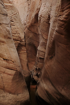 포토 JPG 해외이미지 모래 벽 파도 패턴 오렌지 자연 산 건조 풍경 사람없음 빨간색 파란색 계단 골짜기 미국 고요 줄무늬 사막 바위 개울 동굴 부식 질감 롤 좁은 얼룩말 사암 내추럴 서쪽 전국 해외202105 해외포토 바다 컬러 북아메리카 무늬 과일 강 돌_바위 말_동물 방향 생태계 파일형식