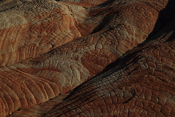 포토 JPG 해외이미지 구름 야생동물 파도 여행 북아메리카 자연 하늘 산 건조 사탕 풍경 사람없음 빨간색 파란색 컬러풀 노란색 일출 미국 절벽 사막 바위 황무지 플랫 언덕 부식 사암 내추럴 고립 취급주의 해외202105 해외포토 자연요소 동물 바다 컬러 디저트 아메리카 경고 노을 돌_바위 생태계 파일형식