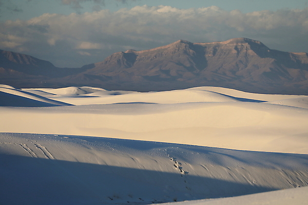 포토 JPG 해외이미지 나무 공원 파도 백그라운드 패턴 하늘 산 멕시코 그림자 풍경 사람없음 야외 파란색 모래사장 침묵 사막 성장 뜨거움 모래언덕 속도 흰배경 질감 내추럴 뉴멕시코 벌거벗은 웅장함 잔물결 해외202105 해외포토 식물 공공시설 물결 바다 컬러 북아메리카 무늬 소리 흰색 언덕 파일형식