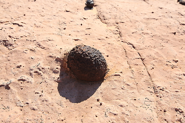 포토 JPG 해외이미지 모래 벽 파도 패턴 오렌지 자연 산 건조 풍경 사람없음 빨간색 파란색 계단 골짜기 미국 고요 줄무늬 사막 바위 개울 동굴 부식 질감 롤 좁은 얼룩말 사암 내추럴 서쪽 전국 해외202105 해외포토 바다 컬러 북아메리카 무늬 과일 강 돌_바위 말_동물 방향 생태계 파일형식