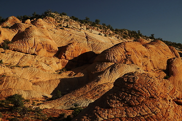 포토 JPG 해외이미지 구름 야생동물 파도 여행 북아메리카 자연 하늘 산 건조 사탕 풍경 사람없음 빨간색 파란색 컬러풀 노란색 일출 미국 절벽 사막 바위 황무지 플랫 언덕 부식 사암 내추럴 고립 취급주의 해외202105 해외포토 자연요소 동물 바다 컬러 디저트 아메리카 경고 노을 돌_바위 생태계 파일형식