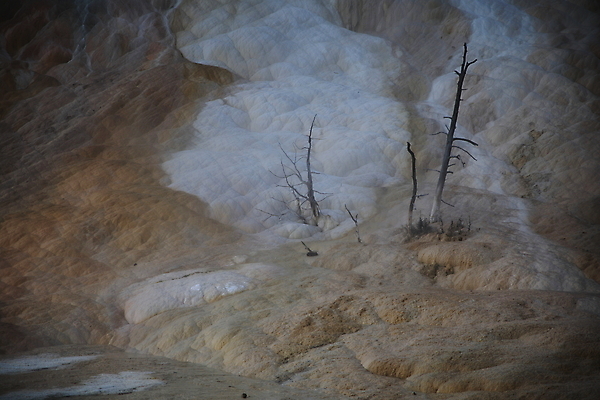 포토 JPG 해외이미지 공원 여행 오렌지 자연 산 풍경 사람없음 야외 물 여름 갈색 노란색 환경 골짜기 계곡 미국 페인트 봄 폭포 뜨거움 팔레트 화산 장면 지역 암초 멸종위기동물 내추럴 매머드 생태학 오아시스 와이오밍 전국 지열 지진 해외202105 해외포토 자연요소 동물 계절 공공시설 교육 컬러 북아메리카 과일 자연재해 생태계 파일형식 멸종위기종