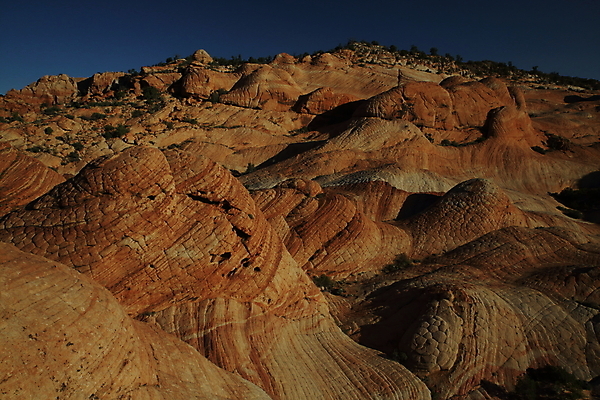 포토 JPG 해외이미지 구름 야생동물 파도 여행 북아메리카 자연 하늘 산 건조 사탕 풍경 사람없음 빨간색 파란색 컬러풀 노란색 일출 미국 절벽 사막 바위 황무지 플랫 언덕 부식 사암 내추럴 고립 취급주의 해외202105 해외포토 자연요소 동물 바다 컬러 디저트 아메리카 경고 노을 돌_바위 생태계 파일형식