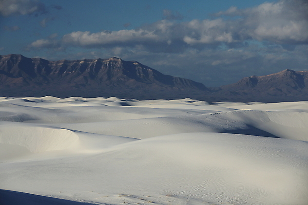 포토 JPG 해외이미지 나무 공원 파도 백그라운드 패턴 하늘 산 멕시코 그림자 풍경 사람없음 야외 파란색 모래사장 침묵 사막 성장 뜨거움 모래언덕 속도 흰배경 질감 내추럴 뉴멕시코 벌거벗은 웅장함 잔물결 해외202105 해외포토 식물 공공시설 물결 바다 컬러 북아메리카 무늬 소리 흰색 언덕 파일형식
