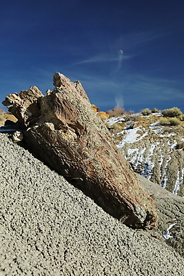 포토 JPG 해외이미지 구름 자연 벽지 하늘 풍경 사람없음 야외 가로 빨간색 컬러풀 검은색 미국 버섯 침묵 고요 황혼 하이킹 사막 바위 황무지 장면 사암 뉴멕시코 특별함 해외202105 해외포토 자연요소 컬러 컨셉 북아메리카 레저 소리 일몰 돌_바위 생태계 파일형식