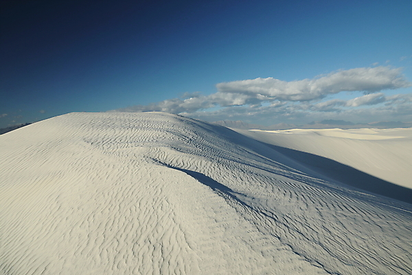 포토 JPG 해외이미지 나무 공원 파도 백그라운드 패턴 하늘 산 멕시코 그림자 풍경 사람없음 야외 파란색 모래사장 침묵 사막 성장 뜨거움 모래언덕 속도 흰배경 질감 내추럴 뉴멕시코 벌거벗은 웅장함 잔물결 해외202105 해외포토 식물 공공시설 물결 바다 컬러 북아메리카 무늬 소리 흰색 언덕 파일형식