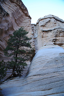 포토 JPG 해외이미지 모양 모래 산 멕시코 건조 텐트 풍경 사람없음 파란색 컬러풀 운동 골짜기 절벽 하이킹 사막 바위 흰색 부식 피라미드 좁은 사암 원뿔 목각 천연기념물 강렬 뉴멕시코 서쪽 전국 절정 흥미 해외202105 해외포토 도형 건축물 컬러 컨셉 북아메리카 자연 레저 건강 캠핑도구 돌_바위 방향 랜드마크 파일형식