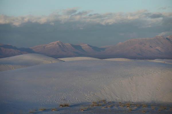 포토 JPG 해외이미지 나무 공원 파도 백그라운드 패턴 하늘 산 멕시코 그림자 풍경 사람없음 야외 파란색 모래사장 침묵 사막 성장 뜨거움 모래언덕 속도 흰배경 질감 내추럴 뉴멕시코 벌거벗은 웅장함 잔물결 해외202105 해외포토 식물 공공시설 물결 바다 컬러 북아메리카 무늬 소리 흰색 언덕 파일형식