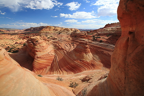 포토 JPG 해외이미지 파도 패턴 오렌지 건조 풍경 사람없음 야외 가로 빨간색 파란색 컬러풀 반사 노란색 계단 골짜기 미국 바위 시골 황무지 부식 호기심 사암 애리조나 천연기념물 서쪽 전국 지질학 통일 특별함 해외202105 해외포토 교육 감정 바다 컬러 컨셉 북아메리카 무늬 과일 자연 돌_바위 방향 파일형식