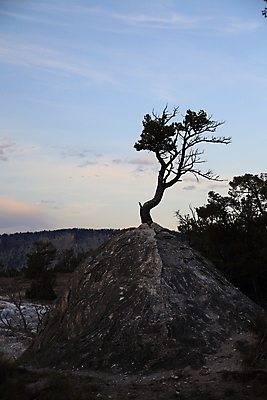포토 JPG 해외이미지 공원 여행 오렌지 자연 산 풍경 사람없음 야외 물 여름 갈색 노란색 환경 골짜기 계곡 미국 페인트 봄 폭포 뜨거움 팔레트 화산 장면 지역 암초 멸종위기동물 내추럴 매머드 생태학 오아시스 와이오밍 전국 지열 지진 해외202105 해외포토 자연요소 동물 계절 공공시설 교육 컬러 북아메리카 과일 자연재해 생태계 파일형식 멸종위기종